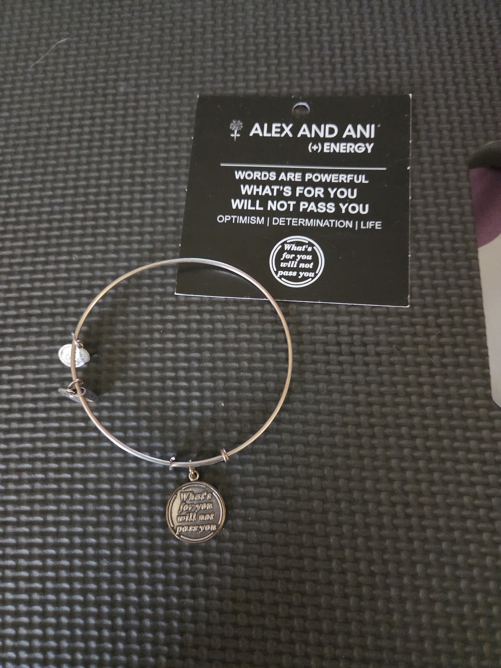 Alex and Ani Silver-Tone Inspirational Charm Bangle Bracelet